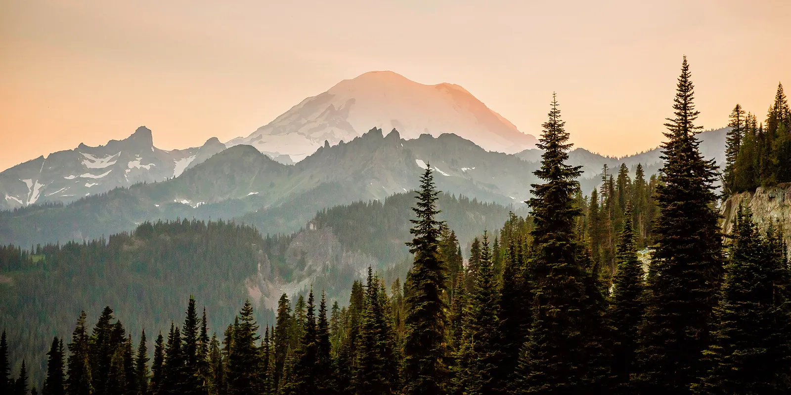 Pacific Northwest forest landscape
